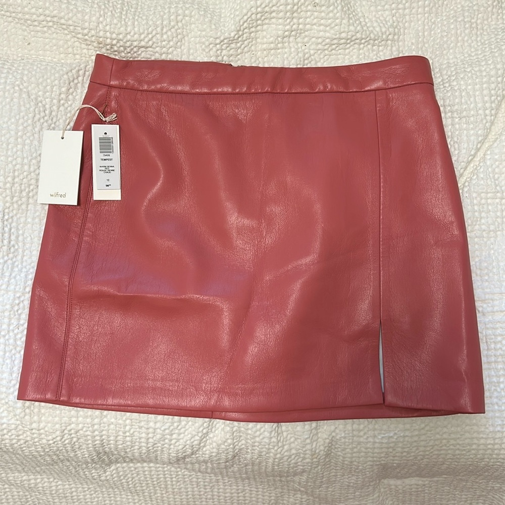 Aritzia Temptest mini skirt
